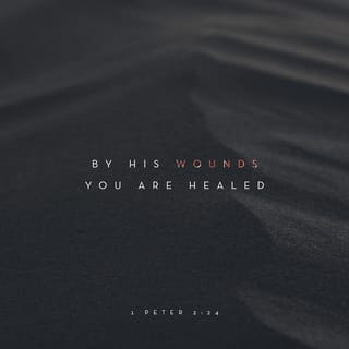 1 Peter 2:23-24 - and while being reviled, He did not revile in return; while suffering, He uttered no threats, but kept entrusting Himself to Him who judges righteously; and He Himself bore our sins in His body on the cross, so that we might die to sin and live to righteousness; for by His wounds you were healed.