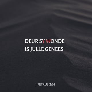 1 PETRUS 2:23-24 AFR83