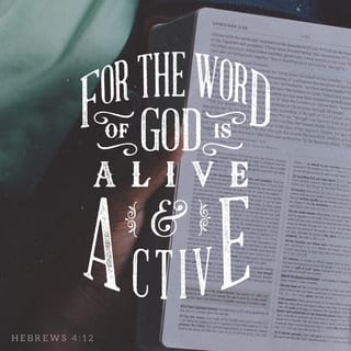Hebrews 4:12-16 - For the word of God is quick, and powerful, and sharper than any twoedged sword, piercing even to the dividing asunder of soul and spirit, and of the joints and marrow, and is a discerner of the thoughts and intents of the heart. Neither is there any creature that is not manifest in his sight: but all things are naked and opened unto the eyes of him with whom we have to do.

Seeing then that we have a great high priest, that is passed into the heavens, Jesus the Son of God, let us hold fast our profession. For we have not an high priest which cannot be touched with the feeling of our infirmities; but was in all points tempted like as we are, yet without sin. Let us therefore come boldly unto the throne of grace, that we may obtain mercy, and find grace to help in time of need.