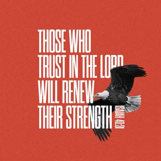 Isaiah 40:31 - But the people who trust the LORD will become strong again.
They will rise up as an eagle in the sky;
they will run and not need rest;
they will walk and not become tired.