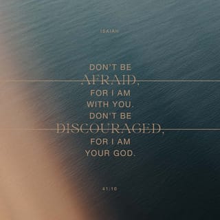 Isaiah 41:10 - Do not yield to fear, for I am always near.
Never turn your gaze from me, for I am your faithful God.
I will infuse you with my strength
and help you in every situation.
I will hold you firmly with my victorious right hand.’