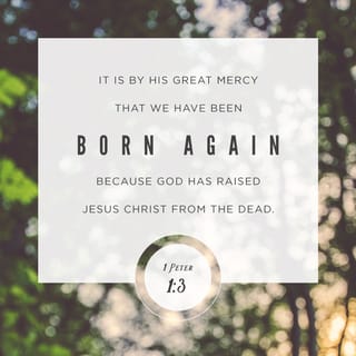 1 Peter 1:3 - Praise be to the God and Father of our Lord Jesus Christ! In his great mercy he has given us new birth into a living hope through the resurrection of Jesus Christ from the dead