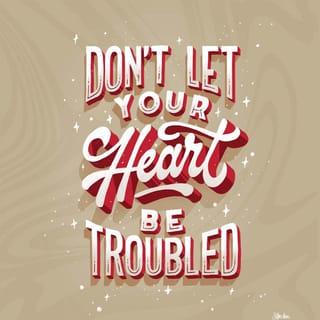 John 14:1-6 - “Do not let your heart be troubled (afraid, cowardly). Believe [confidently] in God and trust in Him, [have faith, hold on to it, rely on it, keep going and] believe also in Me. In My Father’s house are many dwelling places. If it were not so, I would have told you, because I am going there to prepare a place for you. And if I go and prepare a place for you, I will come back again and I will take you to Myself, so that where I am you may be also. And [to the place] where I am going, you know the way.” Thomas said to Him, “Lord, we do not know where You are going; so how can we know the way?” Jesus said to him, “I am the [only] Way [to God] and the [real] Truth and the [real] Life; no one comes to the Father but through Me.