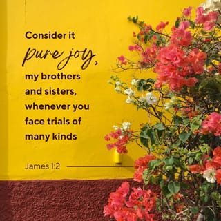 James 1:2-4 - My brothers and sisters, when you have many kinds of troubles, you should be full of joy, because you know that these troubles test your faith, and this will give you patience. Let your patience show itself perfectly in what you do. Then you will be perfect and complete and will have everything you need.