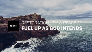 Restoration, Joy & Peace // Fuel Up as God Intends