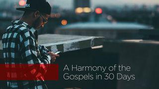 A Harmony Of The Gospels In 30 Days Mat 12:22-50 Nouvo Testaman: Vèsyon Kreyòl Fasil