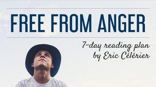 Free From Anger Job 5:1-27 New Living Translation
