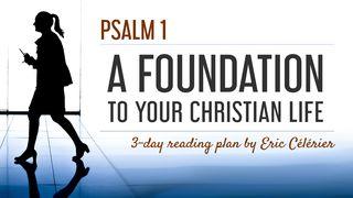 Psalm 1 - A Foundation To Your Christian Life Matthew 5:3-16 English Standard Version 2016