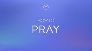 How To Pray Matthew 6:1-24 New Living Translation
