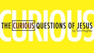 The Curious Questions Of Jesus John 6:1-13 New American Standard Bible - NASB 1995