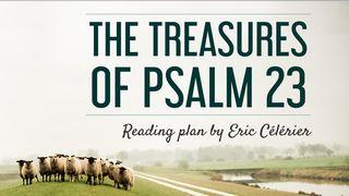 The Treasures Of Psalm 23 John 10:22-42 New Living Translation