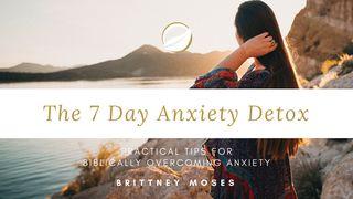 The 7 Day Anxiety Detox: Practical Tips For Biblically Overcoming Anxiety 2 Corinthians 10:3-5 New Living Translation