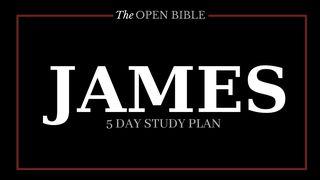 Tests And Triumphs Of Faith: James Santiago 1:12 Nueva Traducción Viviente