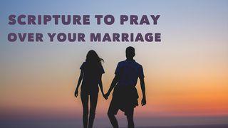 Scripture To Pray Over Your Marriage Ephesians 4:1-6 New International Version