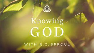 Knowing God Psalms 31:19-24 New Living Translation