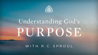 Understanding God's Purpose 2 Timothy 1:9-12 New Living Translation
