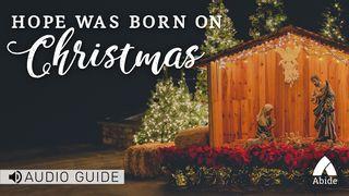 Hope Was Born On Christmas Luke 2:13-20 New American Standard Bible - NASB 1995