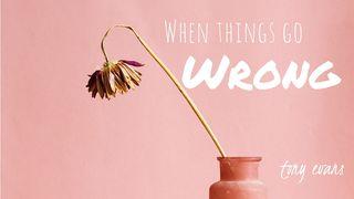 When Things Go Wrong Ephesians 1:3-8 New International Version
