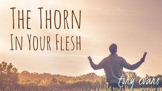 The Thorn In Your Flesh 2 Corinthians 12:7-10 New Living Translation