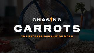 Chasing Carrots Matthew 5:20 New Living Translation