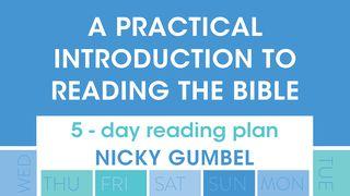 5 Days – An Introduction To Reading The Bible Joshua 24:15 Amplified Bible