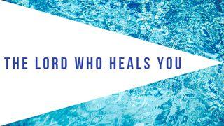The Lord Who Heals You Mark 11:20-33 New Living Translation