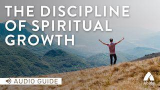 The Discipline Of Spiritual Growth 1 Timothy 6:11-16 New Living Translation