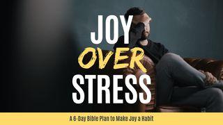 Joy Over Stress: How To Make Daily Joy A Habit John 16:16-33 New Living Translation