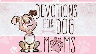 Devotions for Dog Moms Salmos 34:8 Nueva Traducción Viviente