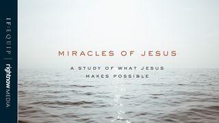 Miracles Of Jesus: A 5-Day Study Of What Jesus Makes Possible Luke 13:10-17 New Living Translation