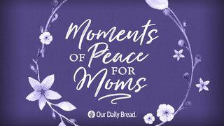 Moments Of Peace For Moms Proverbs 16:1-9 New Living Translation