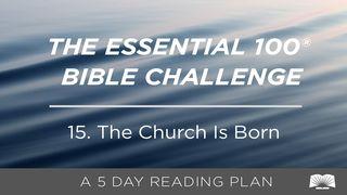 The Essential 100® Bible Challenge–15–The Church Is Born Acts of the Apostles 2:38-41 New Living Translation