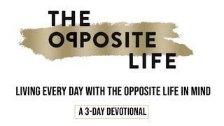 Living Every Day With The Opposite Life In Mind Isaiah 55:8-11 New Living Translation