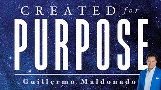 Created For Purpose Romans 5:1-5 New International Version