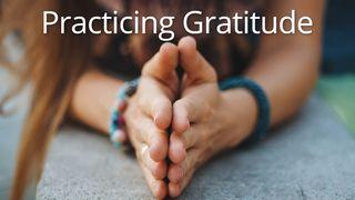 Practicing Gratitude Philippians 1:3-11 New King James Version