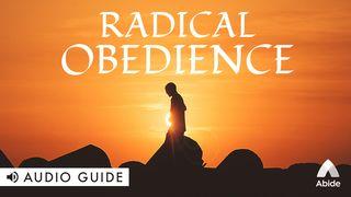 Radical Obedience Deuteronomy 11:26-28 New American Standard Bible - NASB 1995