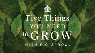 Five Things You Need To Grow John 4:1-42 New International Version