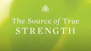 The Source Of True Strength Judges 16:1-22 New International Version