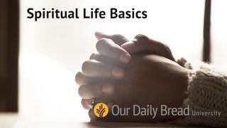 Our Daily Bread - Spiritual Life Basics Acts of the Apostles 8:26-40 New Living Translation