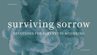 Surviving Sorrow: Devotions for Parents in Mourning Psalms 18:2 New Living Translation