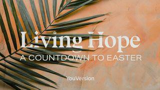 Living Hope: A Countdown to Easter Romans 8:38-39 New Living Translation