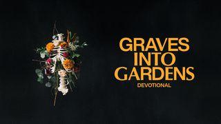 Graves Into Gardens: Restoring Hope in Dead Places 1 Chronicles 29:6-18 New Living Translation