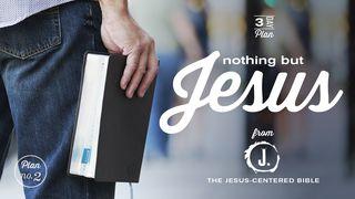 Nothing But Jesus  John 15:1-8 New Living Translation