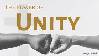 The Power of Unity John 17:20-26 New Living Translation