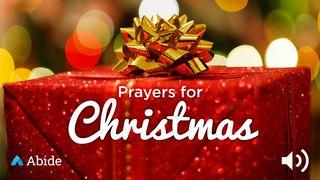 Prayers For Christmas Luke 2:1-3 New International Version