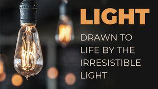 LIGHT - Drawn to Life by the Irresistible Light JOHANNES 3:5 Afrikaans 1983
