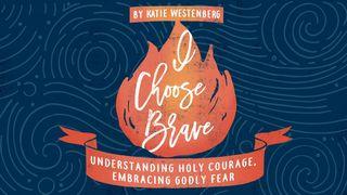 Understanding Holy Courage, Embracing Godly Fear   Hebrews 12:24-27 New Living Translation