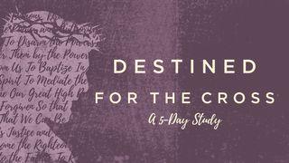 Destined for the Cross Hebrews 12:22-27 The Message