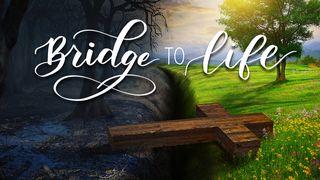 Bridge to Life Éxodo 20:17 Nueva Traducción Viviente