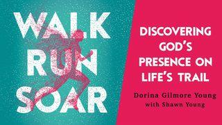 Walk Run Soar: Discovering God's Presence on Life's Trail  John 1:6-9 New Living Translation